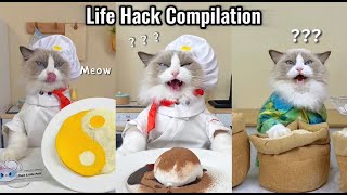 Puff's Ultimate Life Hack Compilation: Ingenious Tricks Unveiled! 🛠️