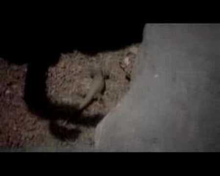 Godina Za Godinom Video