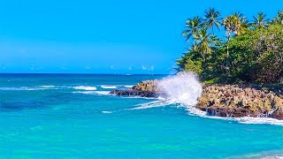 Olas De Una Isla Tropical En Tu Hogar Ahora -Teletransportarte