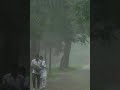 Life In Rain images Life In Rain