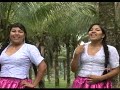 Las rositas de sacaba ♫ ☆ ♫ (por tu culpa) primicia 2010