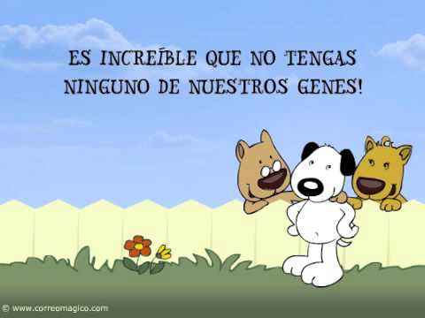 Felicitaciones de cumpleaños para una amiga divertidas felicidades de cumpleaños a mi hija