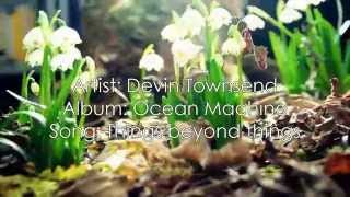 Watch Devin Townsend Things Beyond Things video