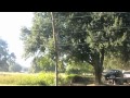 Single car wreck.mov Single car wreck.mov