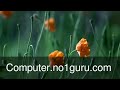 Photoshop Malayalam Full Length Movie Tutorial Kerala Of 2 Computer ...