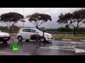 Beep Beep! Emu running on Israeli highway caught on camera