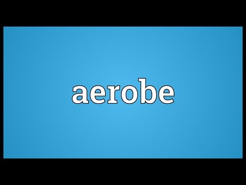 Header of aerobe