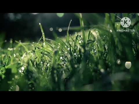 ታረካ እግዚአብሔር ለምን ሰው ሰሆነ ታረካ እግዚአብሔር ለምን ሰው ሰሆነ