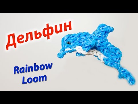 Плести дельфина из резинок сергей Плести дельфина из резинок сергей