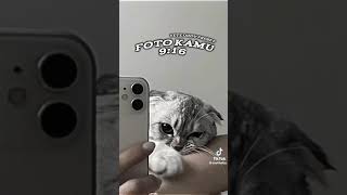 Bigo Live Know If Right Back Kucing