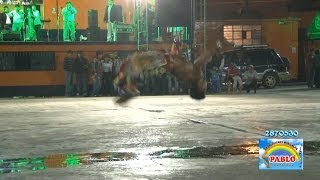 Watch Dragon Chico video