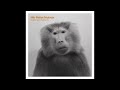 Nils Petter Molvaer-Recoil