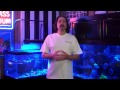 Reef Tank Overflow Styles and Plumbing Overview: part 1