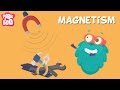 Magnetism | The Dr. Binocs Show | Educational Videos For Kids