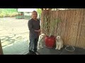 Cesar's Dog Training Video: Aggression During Feeding