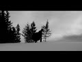 Imogen Heap - Canvas