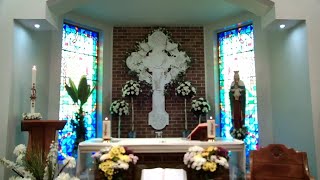 Saturday 23rd May - Exposition: The Dead & Anniversaries of the Deceased followed by Mass