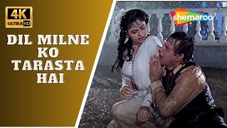 Dil Milne Ko Tarasta Hai- 4K Video | Ekka Raja Rani | Govinda, Ayesha Jhulka | Alka Yagnik Hit Songs