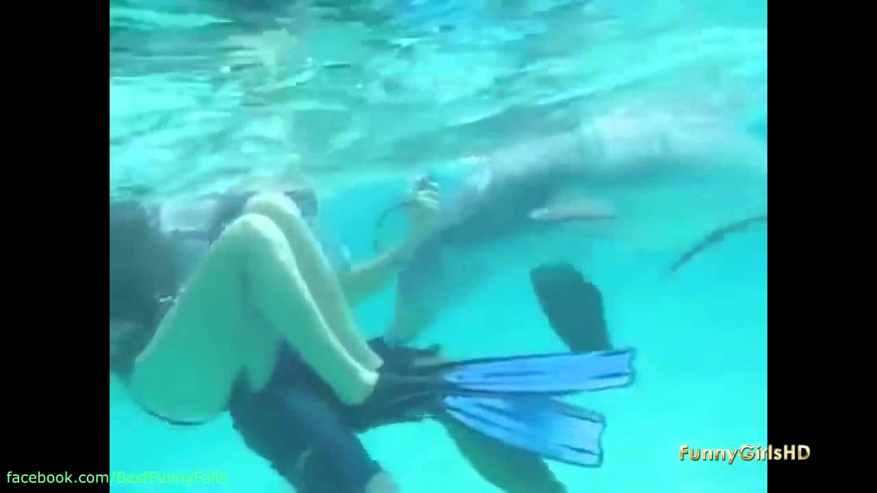 Женщина И Дельфин Секс Видео