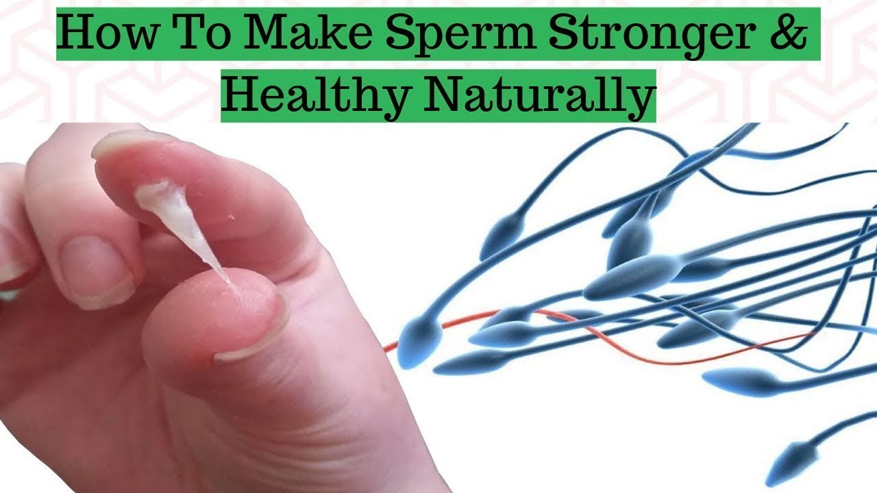 Ky lubricant and sperm interaction