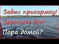 Фидер на заросшем дне и забытая прикормка Фидер на заросшем дне и забытая прикормка