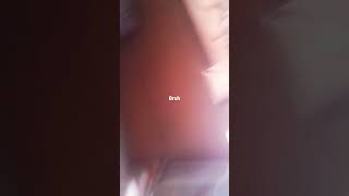 Sek