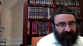 Defining Yom Tov Purity (Tumas Ochalin 16:10) Rabbi M. Cohen