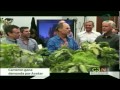 James Cameron gana la demanda sobre Avatar