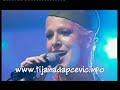 Tijana Dapčević - Sve je isto, samo njega nema