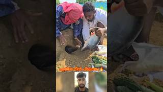 പതയ മൻ പടതത