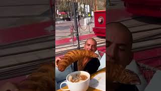 Big Croissants & Coffee Vs Puddle Water Wheres The Justice?