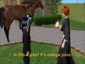 Black Butler (TV Program)