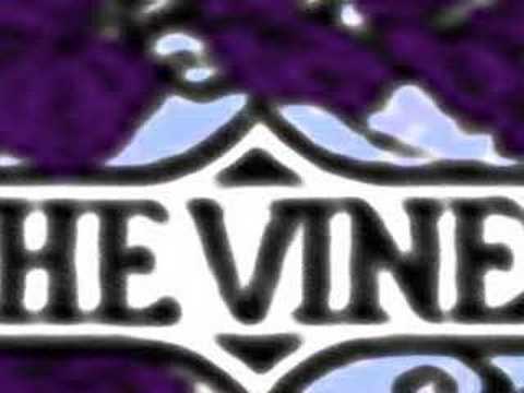 The Vines- Tv Pro