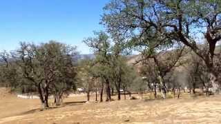 Kern County Horse Property Lots For Sale