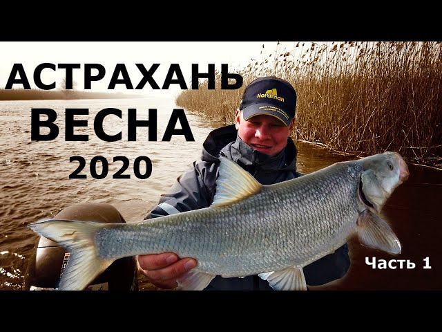 Рыбалка в Астрахани весной 2020 Часть 1. Ловля судака и жереха на Нижней Волге