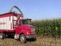 Romanowski custom chopping Claas 960