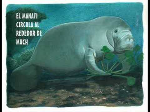 VIDEO SIRENA LAGO MARACAIBO video sirena lago maracaibo: