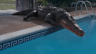 Крокодилья Месть - Официальный Русский Трейлер (2024)