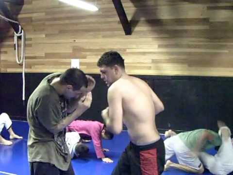 Cesar Gracie Sister