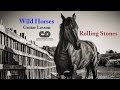 Wild Horses (intermediate guitar lesson) Standard tuning with sheet music