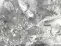 ice nine (manifold #2)