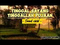 SWEET CHILD - TINGGAL SAYANG TINGGALLAH PUJAAN (LYRICS LAGU)