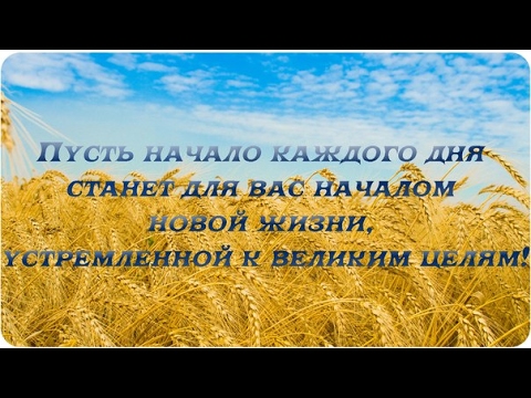 Вселенная благодарю тебя Вселенная благодарю тебя