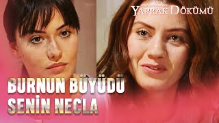 Benim Sıdkım Sıyrıldı, Soğudum Leyla - Yaprak Dökümü 8.Bölüm