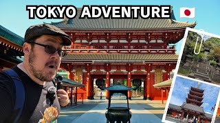 The Ultimate Tokyo Experience Sensoji Temple And Market Tour