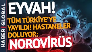 DİKKAT! Türkiye'de Yeni Bela! Korona Değil Norovirüs!