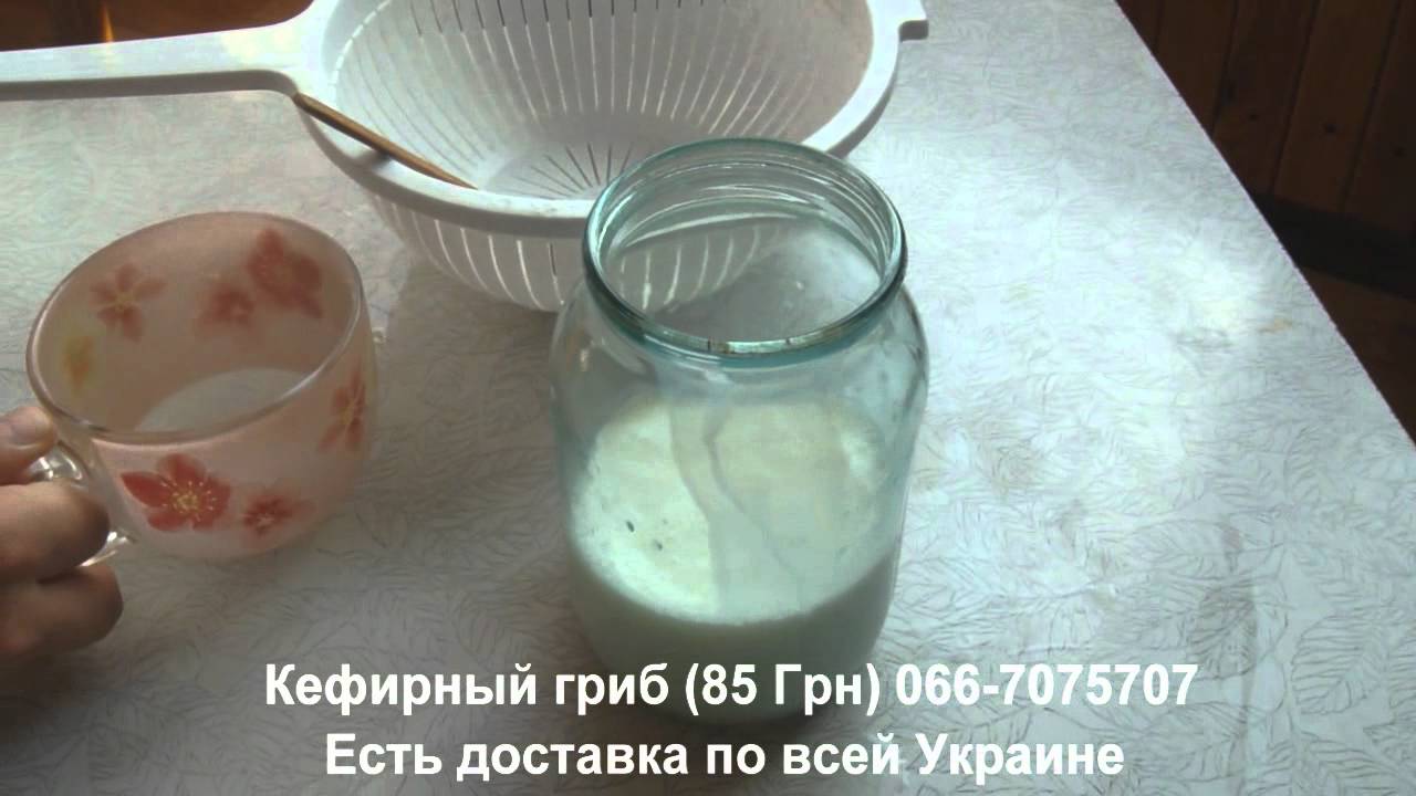 Как снять тнвд своими руками Как снять тнвд своими руками