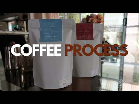 Process กาแฟ อธิบายเข้าใจง่ายๆ ย่อยสุดๆ!!!! / TOBO COFFEE ROASTER