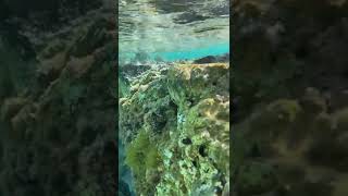 Beautiful Maditerranean Sea , Sardinia, Italy9Th March 2024.Video 2.