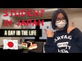 A Day in the Life of an International Student in Japan 🇯🇵